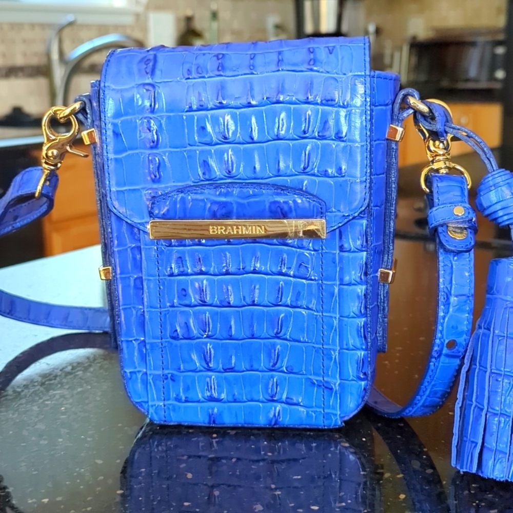 Small Brahmin Purse